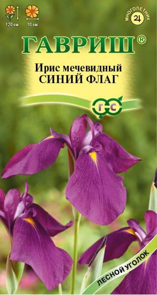 Семена Ирис Синий флаг мечевидный 3 шт.