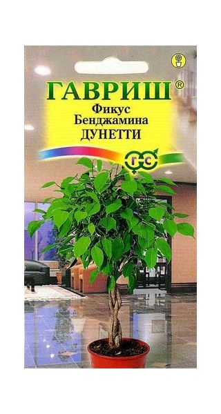 Семена Фикус Бенджамина Дунетти 0,01 г
