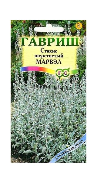 Семена Стахис шерстистый Марвэл 0,05 г