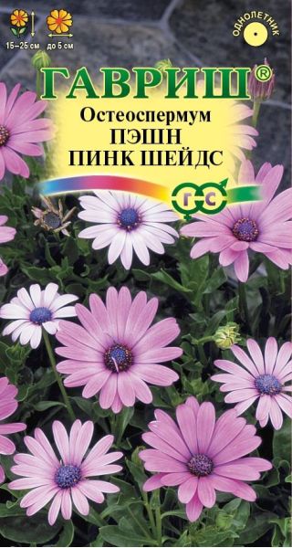 Остеоспермум Пэшн пинк шейдс  3 шт.