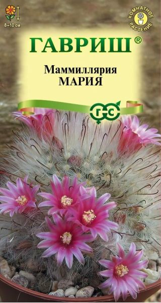 Семена Маммиллярия бокасанская Кактус Мария 2 шт.