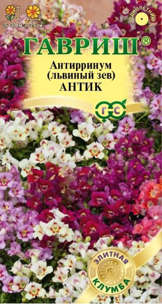 Львиный зев (Антирринум) Антик 7 шт. серия Элитная клумба