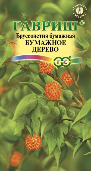 Семена Бруссонетия Бумажное дерево 3 шт.