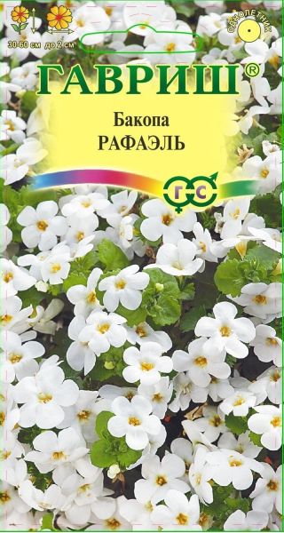 Семена Бакопа Рафаэль 3 шт