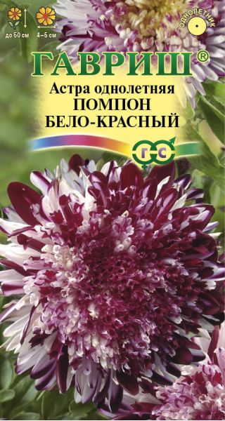 Семена Астра Помпон бело-красный 0,1 г