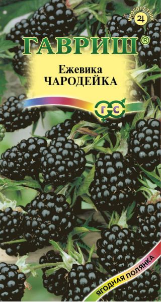 Семена Ежевика Чародейка 10 шт.