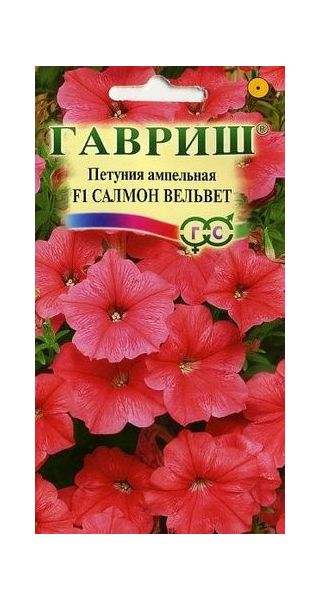 Петуния Салмон Вельвет (Сурфиния) амп. 4 шт. пробирка