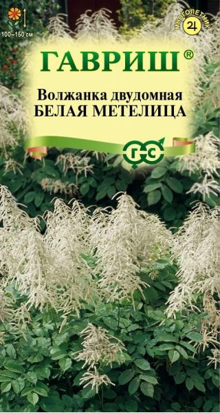 Семена Волжанка двудомная Белая Метелица 0,02 г
