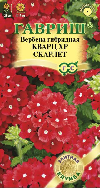 Вербена Кварц XP Скарлет, гибридная* 4 шт. серия Элитная клумба