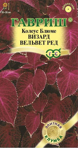 Колеус Визард Вельвет ред* 5 шт. Элитная клумба