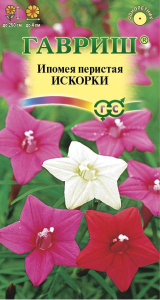 Ипомея Искорки, перистая 0,5 г