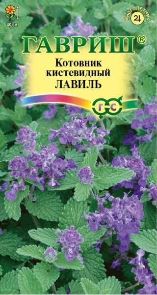 Семена Котовник кистевидный Лавиль 0,03 г