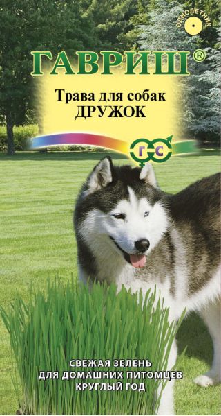 Семена Трава для собак Дружок 10 г