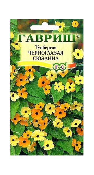Тунбергия крылатая Черноглазая Сюзанна 0,3 г