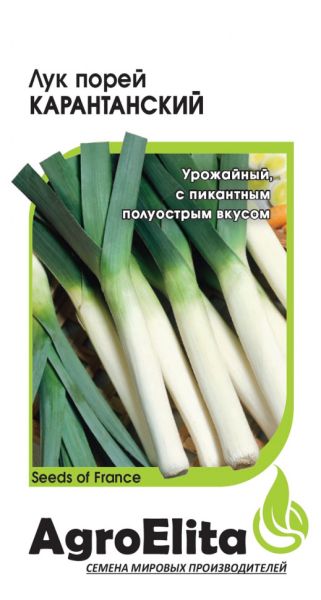 Семена Лук порей Карантанский 0,5 г Агроэлита