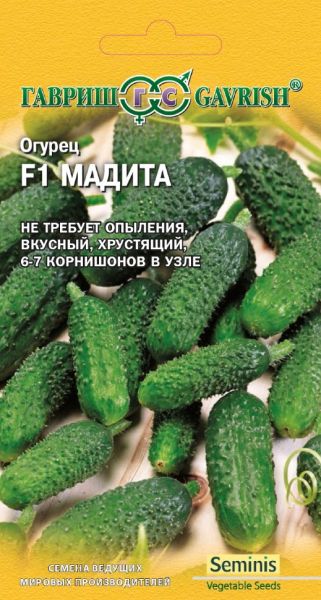 Семена Огурец Мадита F1 5 шт. Голландия