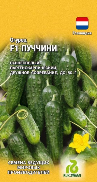 Семена Огурец Пуччини F1 5 шт. Голландия