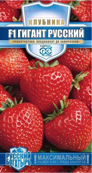 Семена Клубника Гигант русский F1 5 шт.