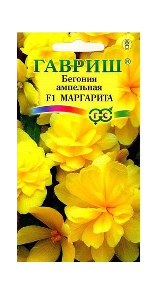 Семена Бегония ампельная Маргарита F1 клубневая 4 шт.