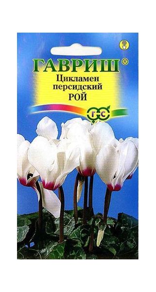 Семена Цикламен Рой персидский 3 шт.