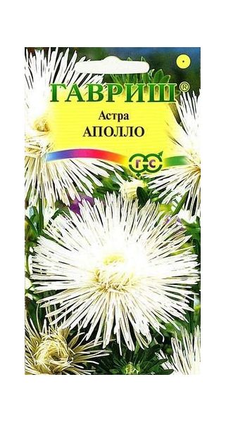 Семена Астра Аполло 0,3 г
