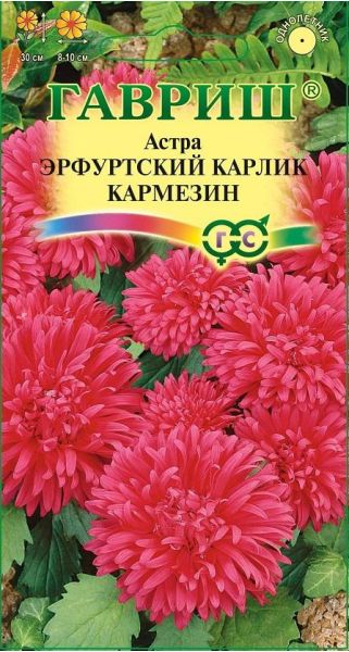 Семена Астра Эрфуртский карлик Кармезин 0,3 г