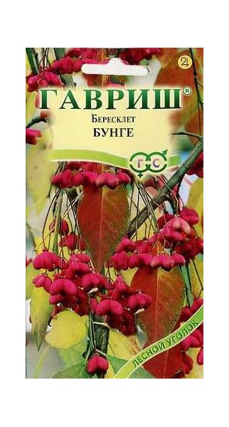 Семена Бересклет Бунге 0,2 г