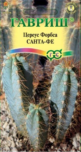 Семена Цереус Форбса Санта-Фе 4 шт.