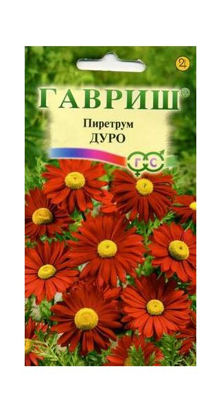 Семена Пиретрум Дуро 0,2 г