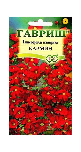 Семена Гипсофила изящная Кармин 0,3 г