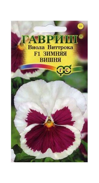 Семена Виола Зимняя вишня F1 Виттрока Анютины глазки 5 шт.