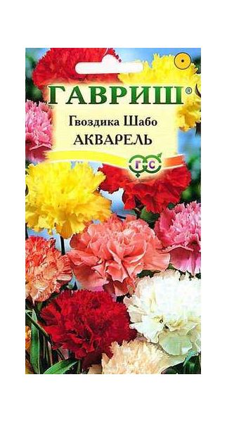 Семена Гвоздика садовая Шабо Акварель смесь 0,05 г