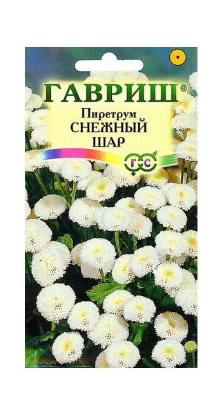 Пиретрум Снежный шар* 0,01 г