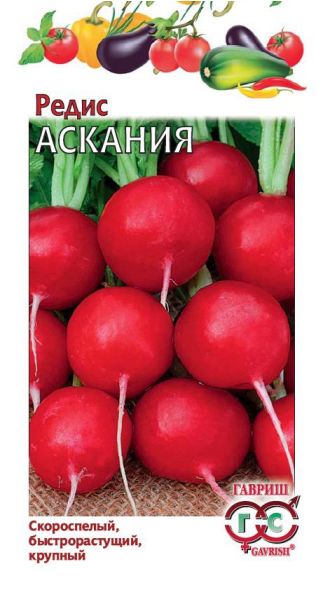 Семена Редис Аскания Германия 2 г