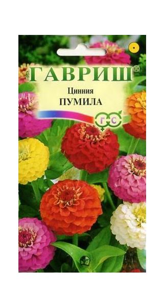 Цинния Пумила, махровая раннецветущая, смесь 0,5 г
