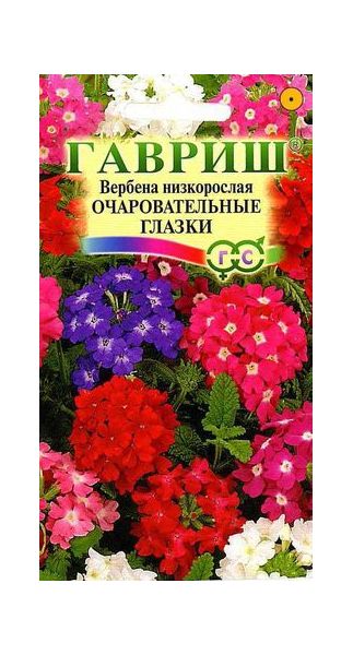 Вербена Очаровательные глазки, гибридная*  0,05 г