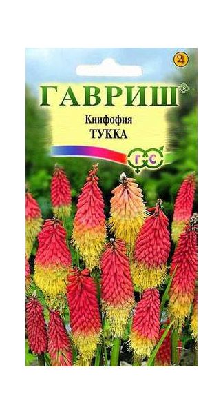 Семена Книфофия Тукка 0,1 г