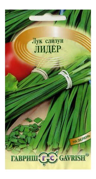 Семена Лук слизун Лидер  0,5 г