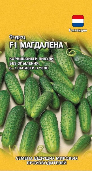Семена Огурец Магдалена F1 5 шт. Голландия