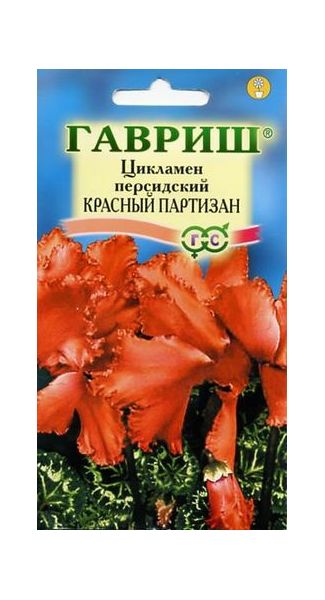 Семена Цикламен Красный партизан персидский 3 шт.