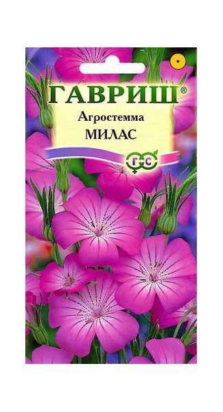 Семена Агростемма Милас 0,5 г