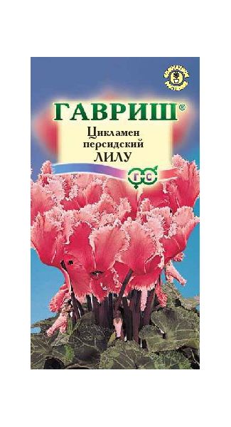 Семена Цикламен Лилу персидский 3 шт.