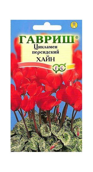 Семена Цикламен Хайн персидский 3 шт.