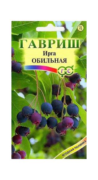 Семена Ирга круглолистная Обильная 0,5 г