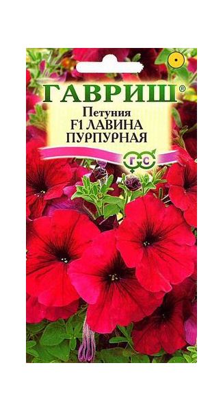 Петуния Лавина Пурпурная F1 амп. 7 шт.  пробирка