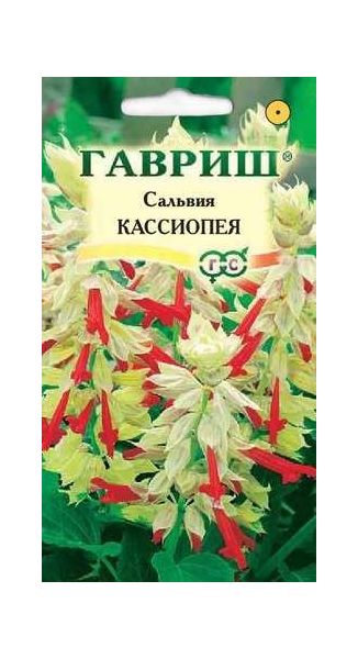 Сальвия Кассиопея*, карликовая  4 шт.