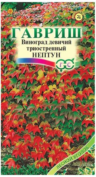 Семена Виноград триостренный Нептун 5 шт.