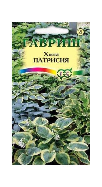 Семена Хоста Патрисия смесь 5 шт.