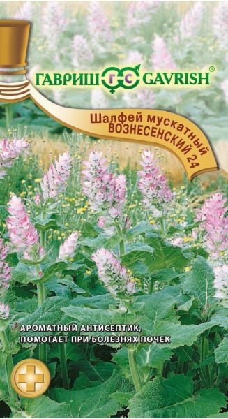 Семена Шалфей Мускатный Вознесенский 24 0,3 г