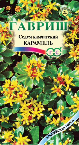 Семена Седум Очиток Карамель камчатский 0,01 г
